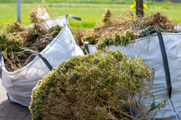 Best Shed Removal  in Palm Beach Shores, FL